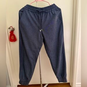 Zara Navy Blue Drawstring Jogger Pants